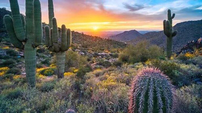 best outdoor activities to do in phoenix